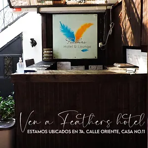 Feathers & Lounge Antigua