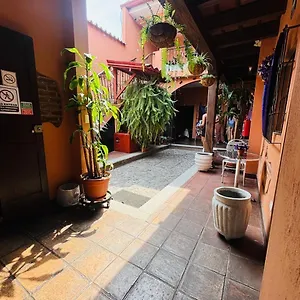 Chilero Y Cafe Antigua